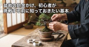 盆栽の針金かけ、初心者が挑戦する前に知っておきたい基本