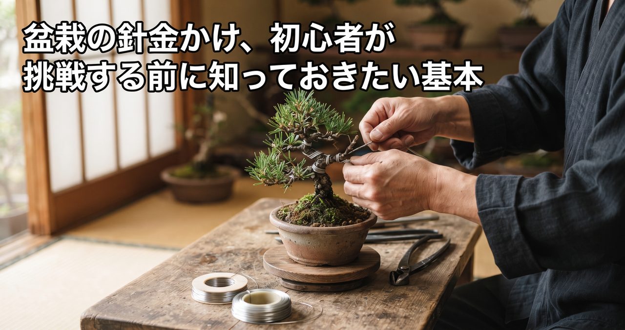 盆栽の針金かけ、初心者が挑戦する前に知っておきたい基本