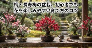梅・長寿梅の盆栽、初心者でも花を楽しみやすい育て方のコツ
