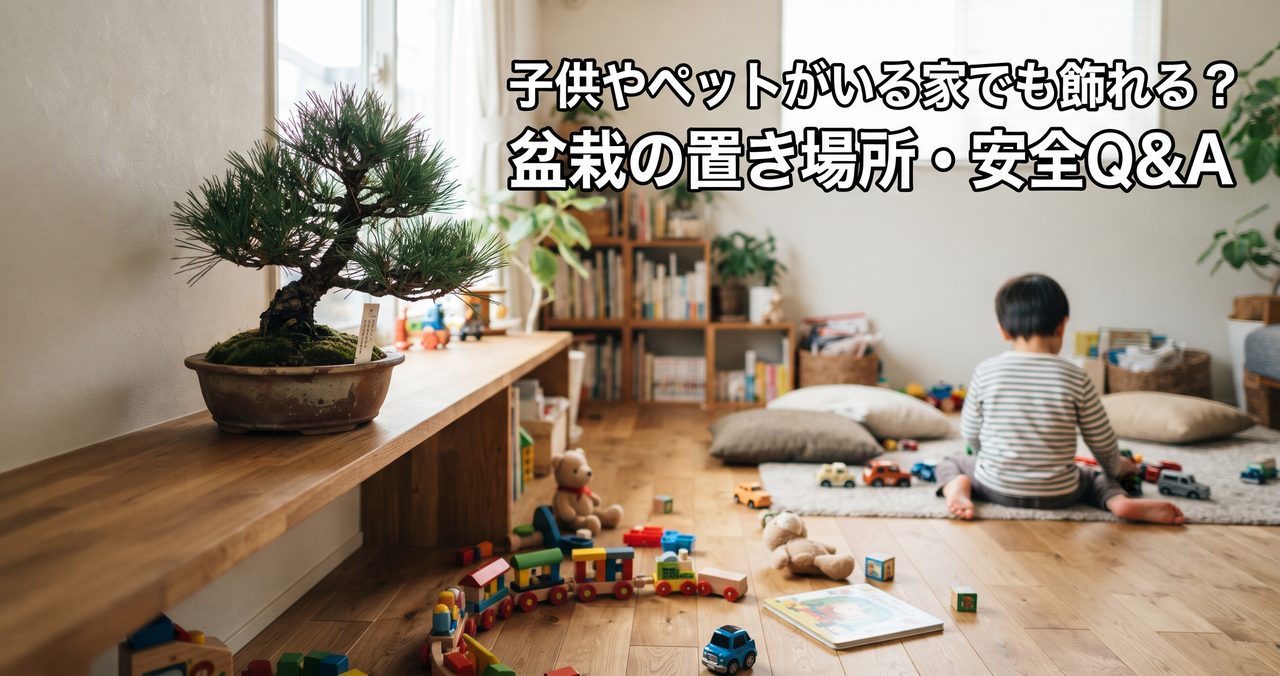 子供やペットがいる家でも飾れる?盆栽の置き場所・安全Q&Aのアイキャッチ画像