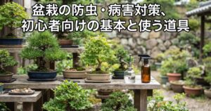 盆栽の防虫・病害対策、初心者向けの基本と使う道具