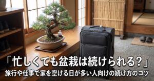 忙しくても盆栽を続けるコツをテーマにしたアイキャッチ画像、玄関先の棚に置かれた盆栽の鉢の隣に旅行用のキャリーケースが置かれている様子